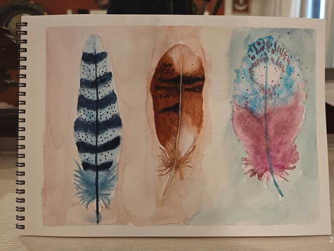 Immagine WhatsApp 2025-10-23 ore 11.41.20_18ea57d1