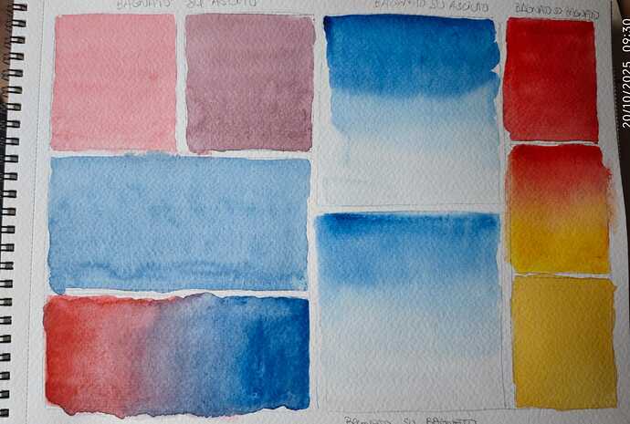 Immagine WhatsApp 2025-10-23 ore 11.41.20_9f208665