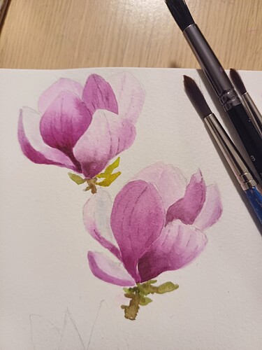 Magnolia